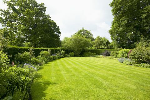 Gazon omgeven door borderbeplanting, The Lowes Garden, The Coach House, Haslemere, Surrey, UK