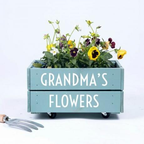 Tuinideeën cadeau-ideeën voor tuiniers onder £ 35