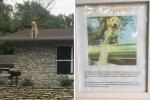 Het bord van dit gezin legt uit waarom hun hond graag op het dak zit