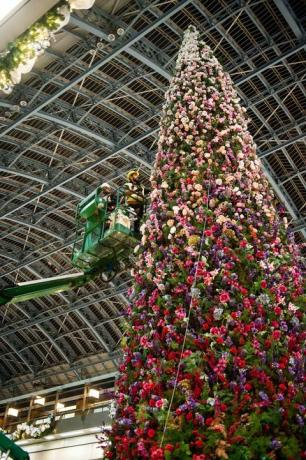 47ft bloemenkerstboom onthuld op St Pancras International station, Londen.