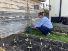 Nieuw bloemenproject ziet Britten bloemen kweken voor oudere buren