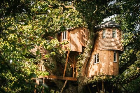 Treetops Treehouse - Devon - huis - Luifel en sterren