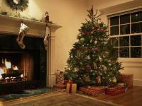 Echt versus Nep-kerstbomen: welke is geschikt voor uw huis?
