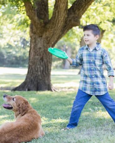 jongen bereidt zich voor om plastic schijf naar hond te gooien