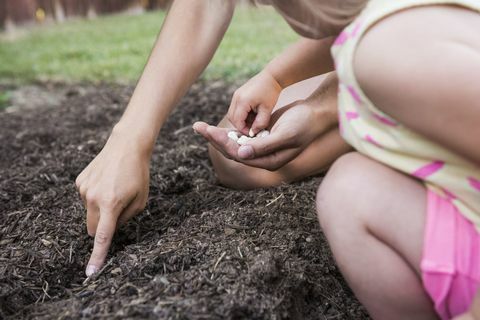 Moeder en jonge dochter die zaden in tuin planten