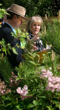 juryleden bespreken de showtuinen, Chelsea Flower Show 2008