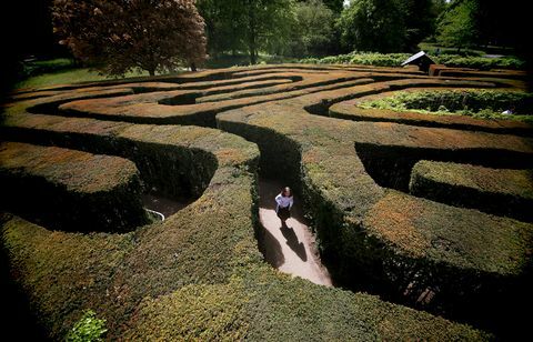 Hampton Court Maze verwelkomt bezoekers tijdens The Bank Holiday Weekend