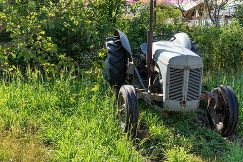 Countryfile's 30th Anniversary Garden. Ontworpen door: Ann-Marie Powell. Feature Garden. RHS Hampton Court Palace Flower Show 2018