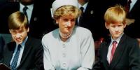 Prins William zegt dat hij en prins Harry prinses Diana in de steek lieten en haar niet konden beschermen in de BBC-documentaire