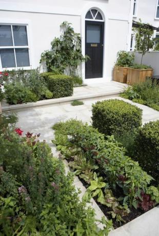 Formele voortuin met vak topiary (Buxus sempervirens) en gemengde eetbare planten. 'City Harvest', Hampton Court Flower Show, 2009, ontworpen door Adam Frost.