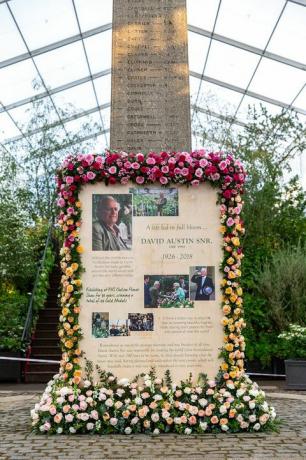 David Austin Roses-monument, Chelsea Flower Show 2019