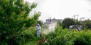 tuinman in een beschermend pak spuit struiken en een tuin vanuit een spuitmachine