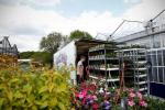 Wanneer zullen tuincentra in het VK opnieuw worden geopend? Regeringsvergrendelingsregels