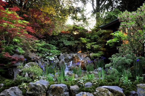 kleine tuin in Japanse stijl met acer-bomen en vlagiris groeit in een rotsachtige plas water gelegen in de ambachtelijke tuinen van de koninklijke tuinbouwvereniging Chelsea Flower Show 2018