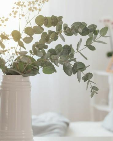 eucalyptus en gipskruid in kruik in witte slaapkamer