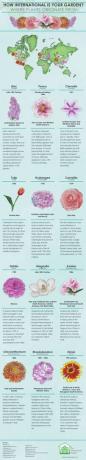 The Greenhouse People - infographic - internationale tuin