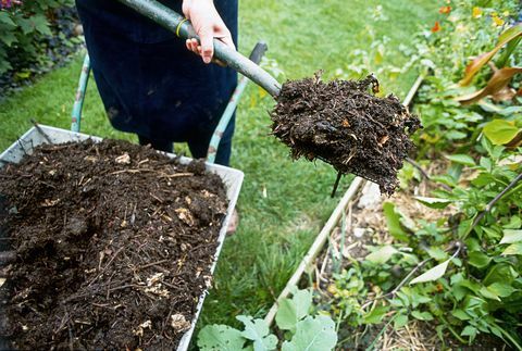 Compost hoop