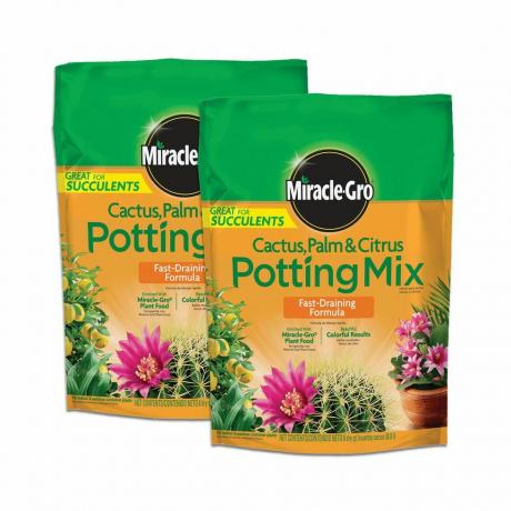 Cactus Oppotmix, 2 Stuks