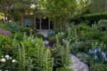 Chelsea Flower Show: koop planten uit de tuin van Chris Beardshaw