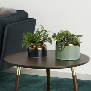 Stijlvol plantpot duo 