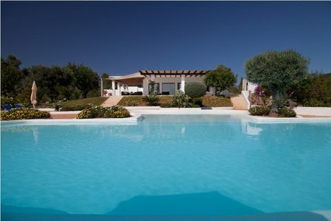 villa dalia - Ibiza - zwembad - Zoopla