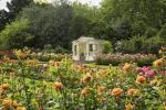 Buckingham Palace Garden te openen voor bezoekers deze zomer