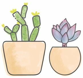 Succulent Studios 2 planten / maand