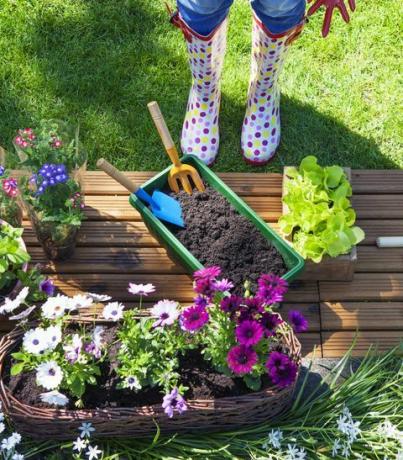 vrouw met tuingereedschap, bloemen en potten