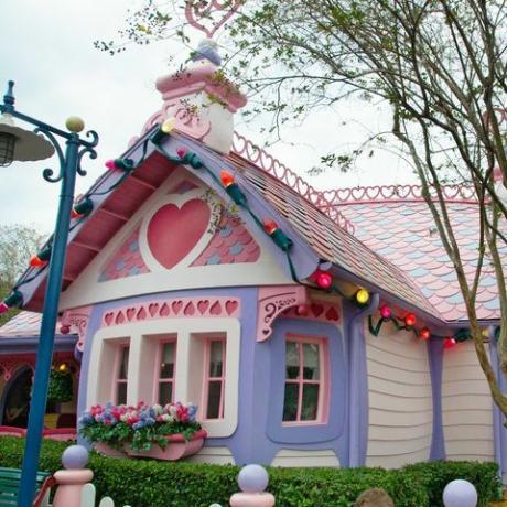 minnie mouse's huis