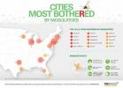 De ergste Amerikaanse steden voor muggen