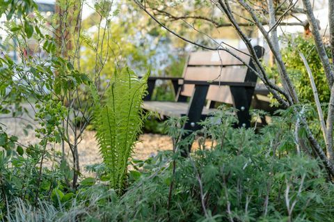 Gardd Lles. Ontworpen door National Botanic Garden of Wales and Growing the Future. Gesponsord door National Botanic Garden of Wales and Growing the Future. Functie weergeven. RHS Flower Show Cardiff 2019.