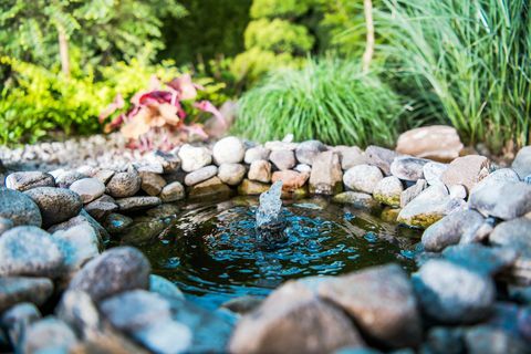 Tuinplaats Little Pond