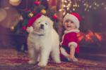 Een kerstmarkt volledig voor honden komt naar Londen