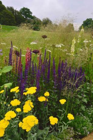 RHS Chatsworth Flower Show - bloemenranden