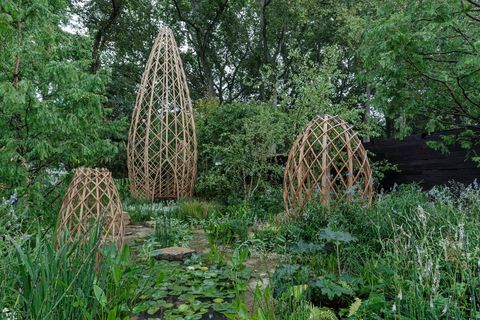 rhs chelsea flower show 2021 showtuinen