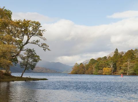 een eiland van ongeveer 103 hectare gelegen voor de westelijke oever van het zuidelijke loch lomond is te koop