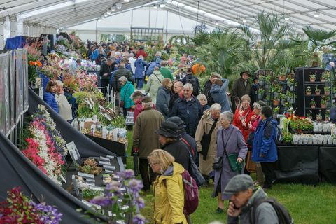 Bezoekers in de Floral Marquee op het RHS Malvern Spring Festival 2019.