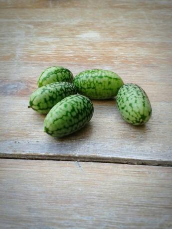 cucamelons